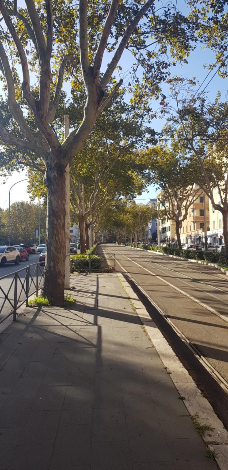 Trastevere Residenze Roma Eksteriør bilde